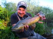 Chalk stream Brown trout May Slovenia